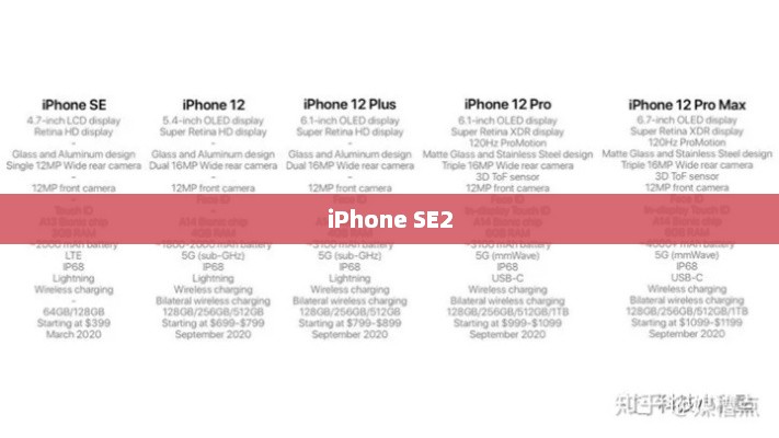 iPhone SE2详细配置参数解析