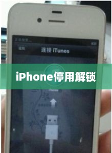 iPhone停用解锁指南及预防措施