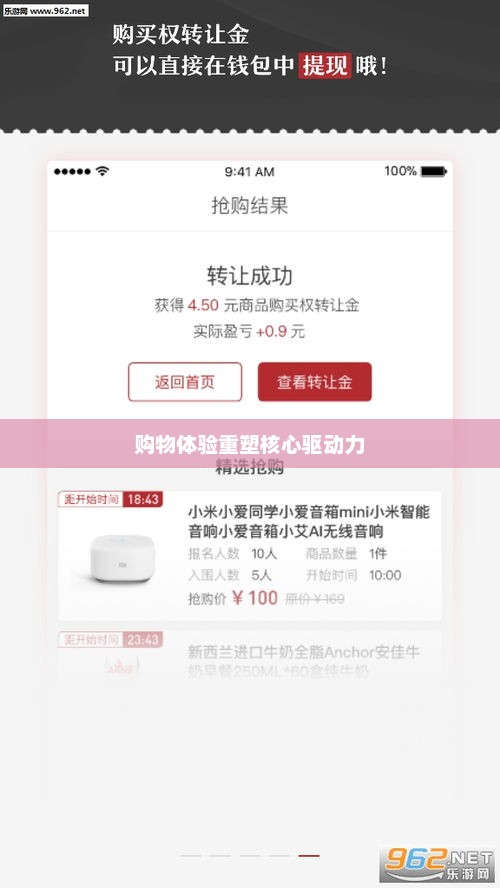 抢购软件，重塑购物体验的核心驱动力
