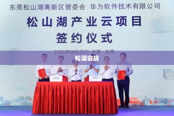 华为高管详解松湖会战，战略部署、挑战与胜利之路