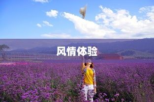 新疆天气的独特魅力与风情体验