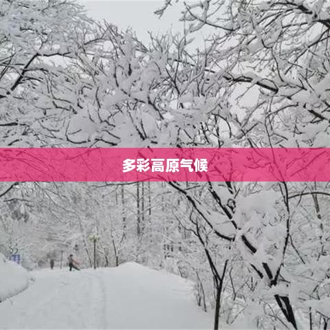 云南天气预报，探索多彩高原的气候奥秘
