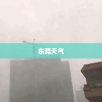东莞未来15天天气气象概览预测