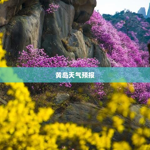 黄岛天气预报，为您的生活与出行提供精准天气护航