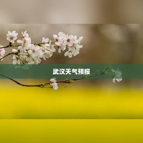 武汉未来15天天气预报与日常生活指南