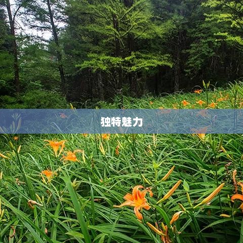 浙江天气的独特魅力探索