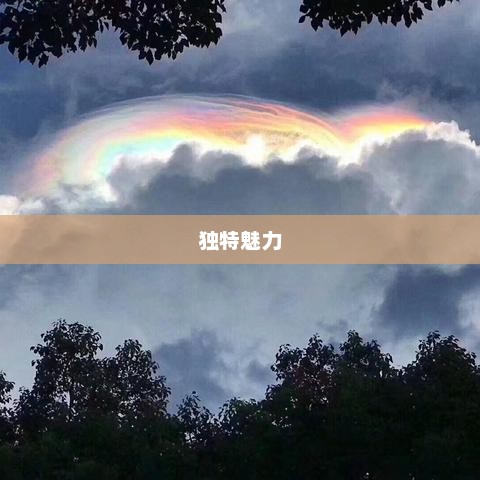 浙江天气的独特魅力探索