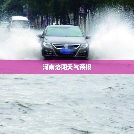 河南洛阳天气预报与气象深度解析