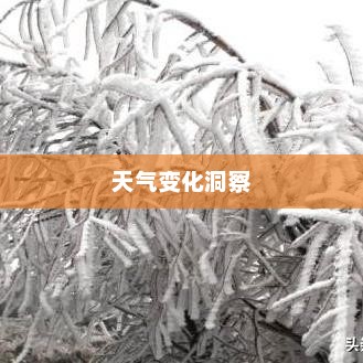 利川天气预报，洞悉天气变化，生活更添彩