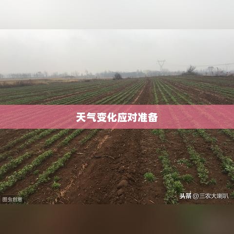 漯河未来30天天气预报详解，做好生活准备应对天气变化