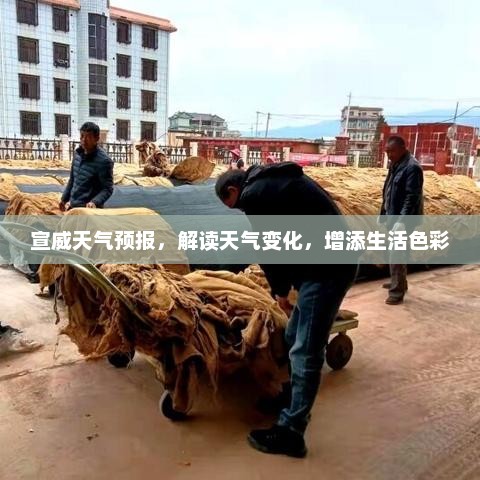 宣威天气预报，解读天气变化，增添生活色彩