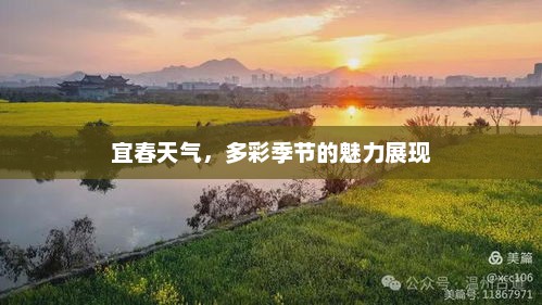 宜春天气，多彩季节的魅力展现