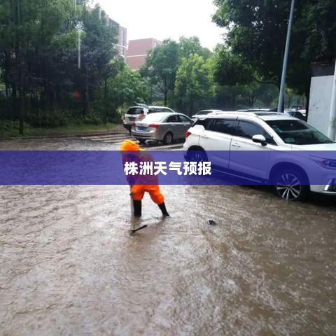 株洲天气预报详解，气象变化解读与生活指南