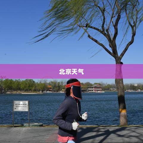 北京最新天气概览