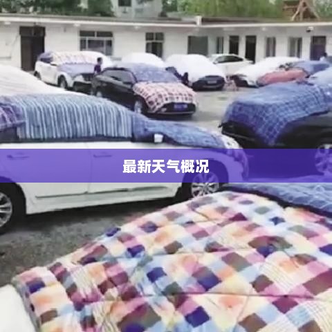 北京最新天气概览