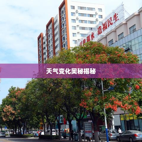 濮阳未来30天天气预报，揭秘天气变化奥秘