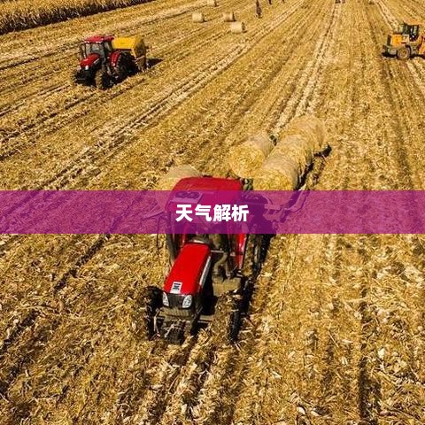 公主岭未来15天天气预报解析