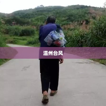 温州遭遇台风,自然力量与城市挑战的双重考验 温州遭遇台风,自然力量与城市挑战的双重考验