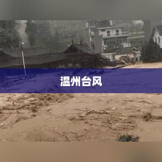 温州遭遇台风,自然力量与城市挑战的双重考验 温州遭遇台风,自然力量与城市挑战的双重考验