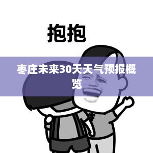 枣庄未来30天天气预报概览