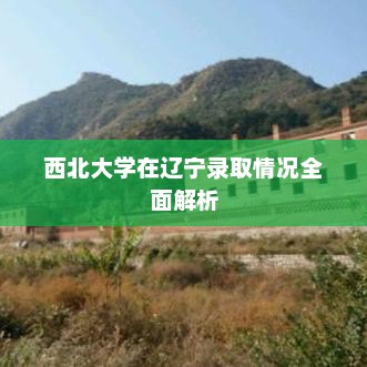 西北大学在辽宁录取情况全面解析