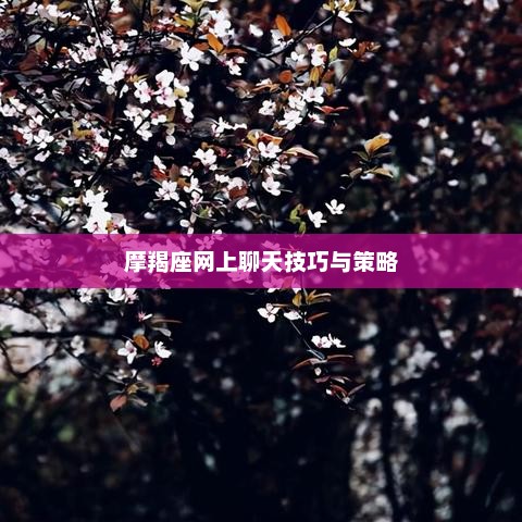 摩羯座网上聊天技巧与策略