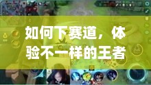 如何下赛道，体验不一样的王者荣耀手游之旅