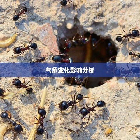 未来三十天天气预测及气象变化影响分析