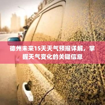 德州未来15天天气预报详解，掌握天气变化的关键信息