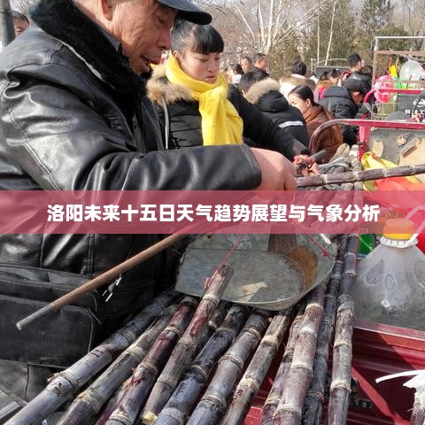 洛阳未来十五日天气趋势展望与气象分析