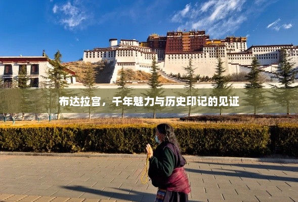 布达拉宫，千年魅力与历史印记的见证