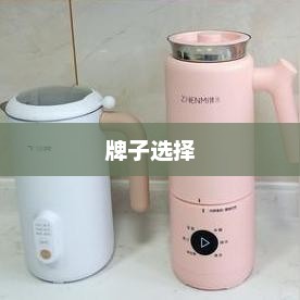 破壁机品牌推荐，哪个牌子最值得选？