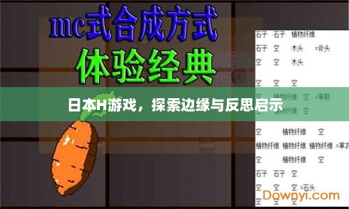 日本H游戏，探索边缘与反思启示