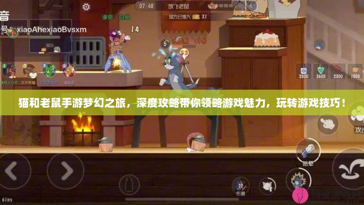 猫和老鼠手游梦幻之旅，深度攻略带你领略游戏魅力，玩转游戏技巧！