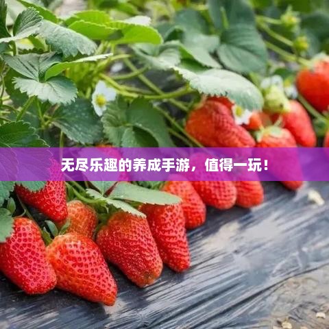 无尽乐趣的养成手游，值得一玩！