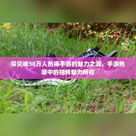 探究被30万人热捧手游的魅力之源，手游热潮中的独特魅力所在