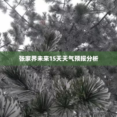 张家界未来15天天气预报分析