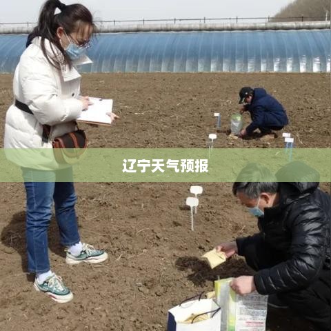 辽宁天气预报，气象变化对日常生活的影响分析