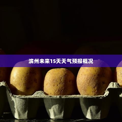 滨州未来15天天气预报概况