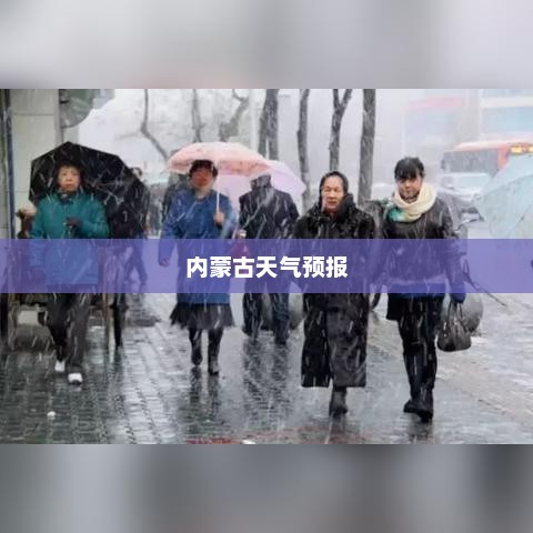 内蒙古天气预报揭秘，草原天气的多变魅力探索