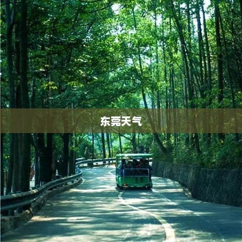 东莞未来15天天气气象概览预测
