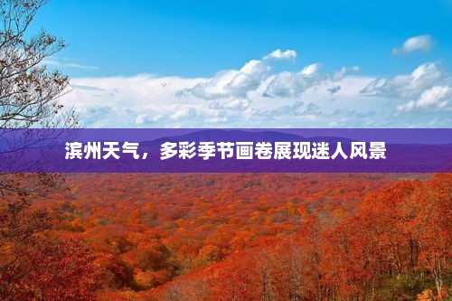 滨州天气，多彩季节画卷展现迷人风景