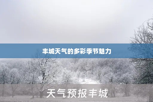 丰城天气的多彩季节魅力