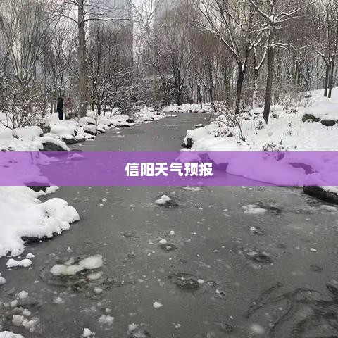 信阳未来三十天天气预报详解