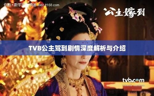TVB公主驾到剧情深度解析与介绍
