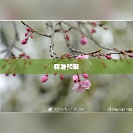 揭秘无锡天气变化，精准预报，解读气象秘密