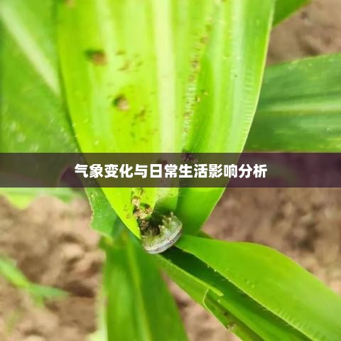 宝鸡未来一周天气预报，气象变化与日常生活影响分析