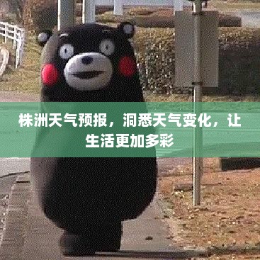 株洲天气预报，洞悉天气变化，让生活更加多彩