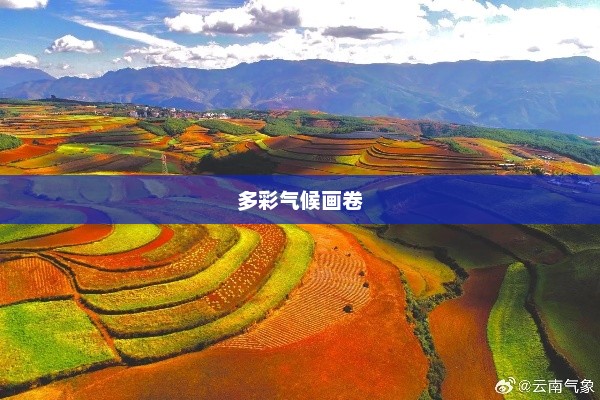 昆明天气，多彩气候画卷展现多样风情