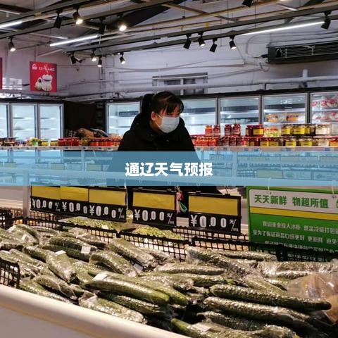 通辽未来一周天气预报详解